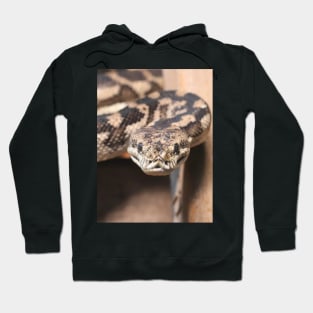 South-West Carpet Python Hoodie